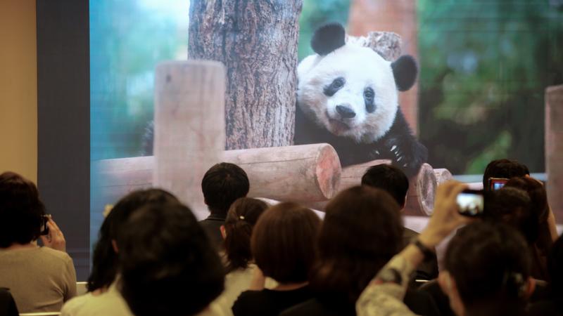Fans celebrate the sixth birthday of giant panda Xiang Xiang on Monday in Tokyo, Japan, with photographs and videos of the popular bear on display.